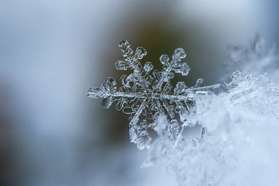 winter-2